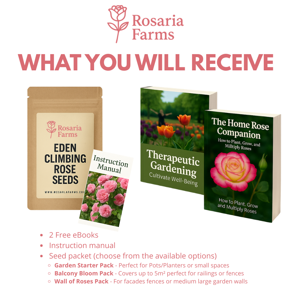 Eden Climbing Rose Seeds – Fast-Growing Award-Winning Variety (50% OFF | Limited Stock Available)